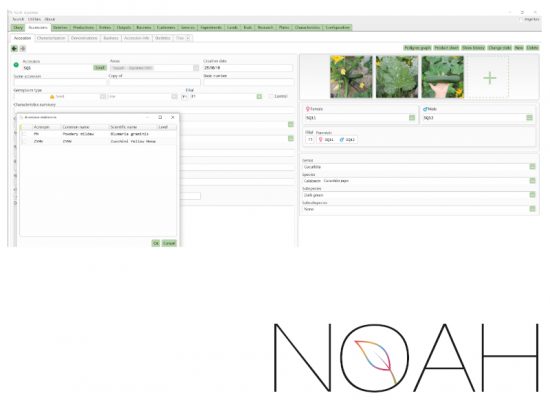 noah-screen04